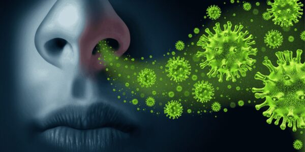 How Does the Flu Spread Airborne, Surface, or Contact How Does the Flu Spread? Airborne, Surface, or Contact?