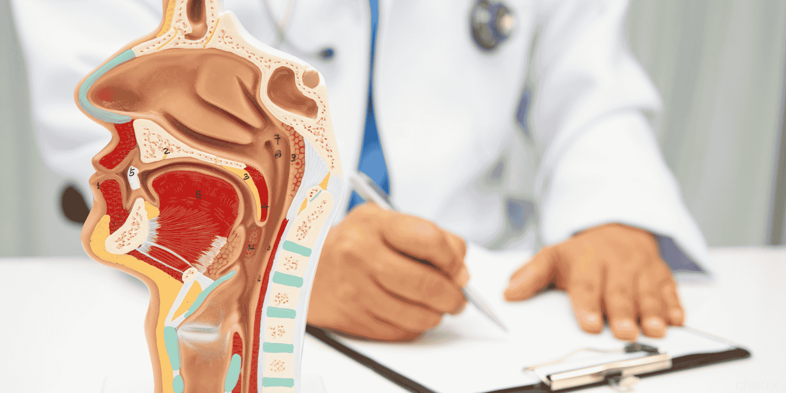 sinus pressure sinusitis vs cold
