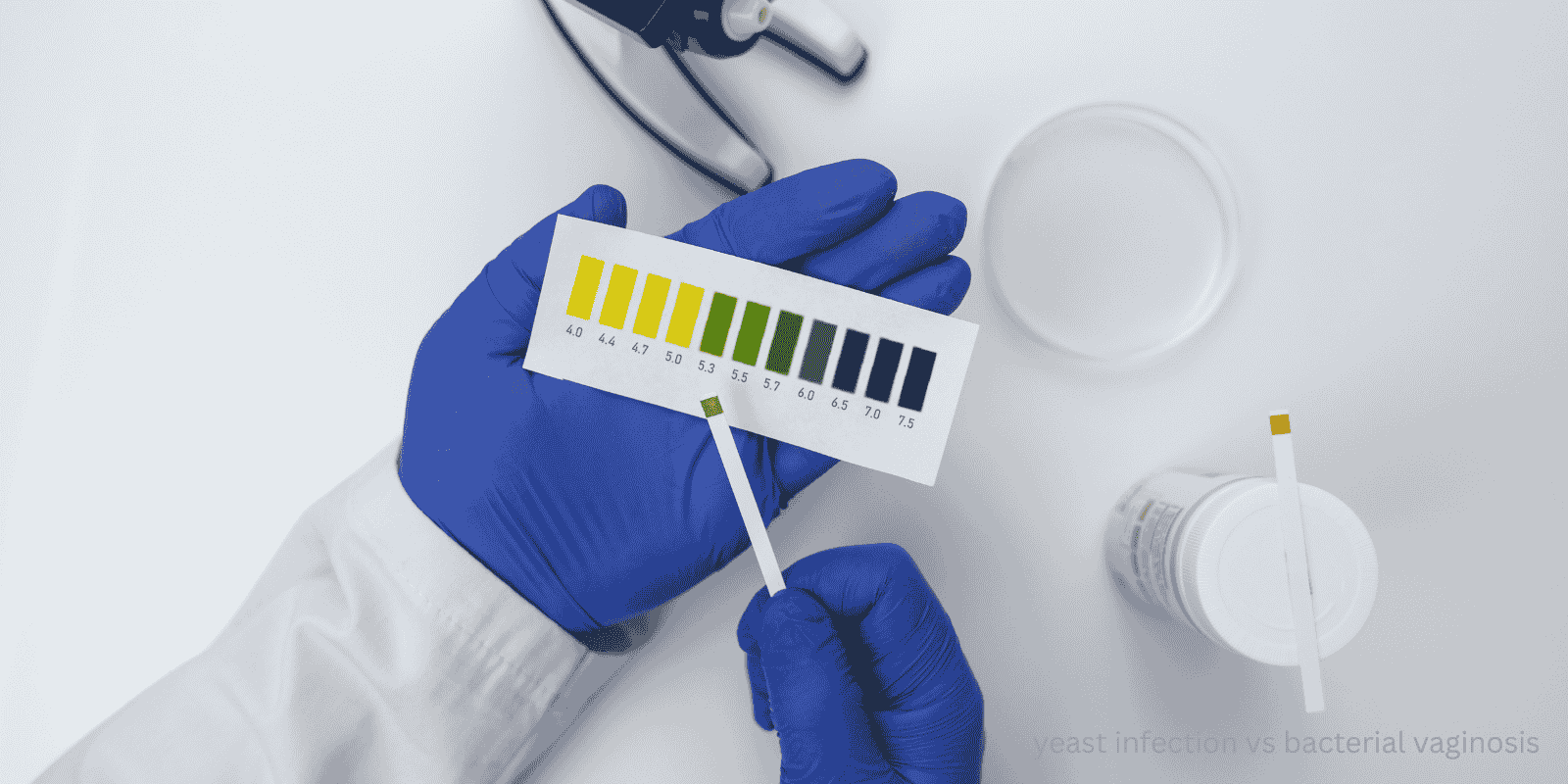 yeast infection vs bacterial vaginosis