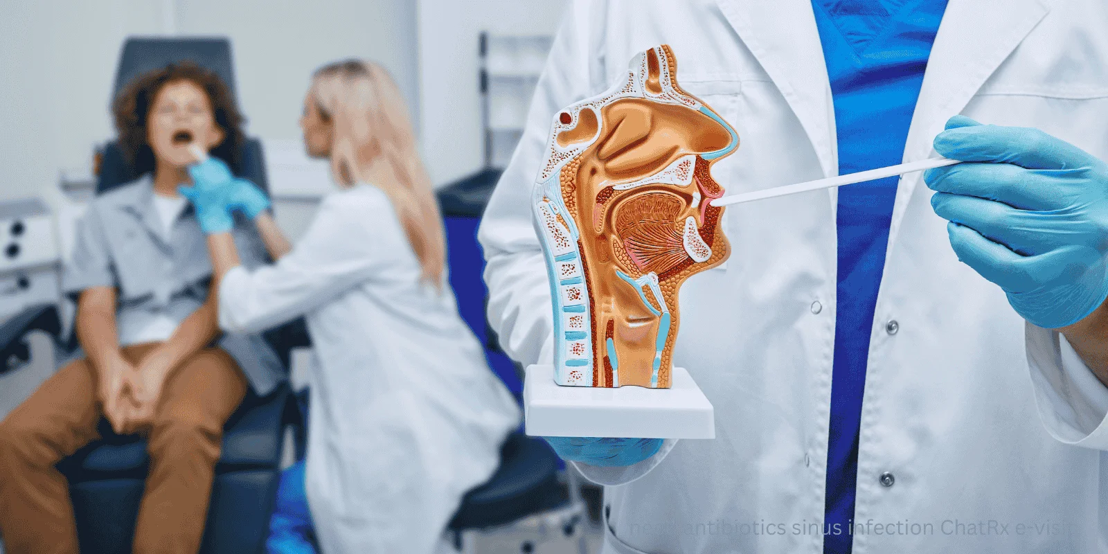 need antibiotics sinus infection ChatRx e-visit