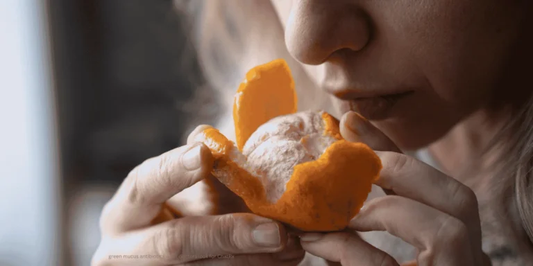 green mucus antibiotics what doctors look for ChatRx