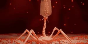 recurring bv nightmare standard treatment not enough what to do