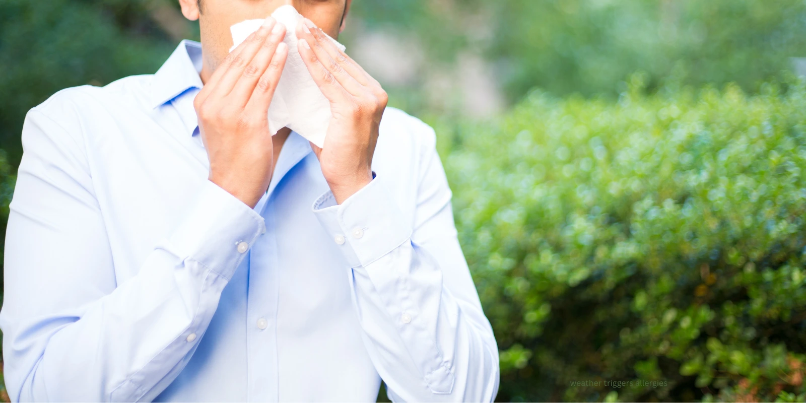 weather triggers allergies
